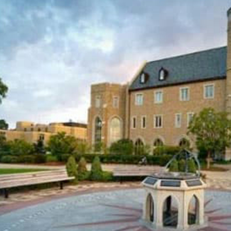 圣母大学