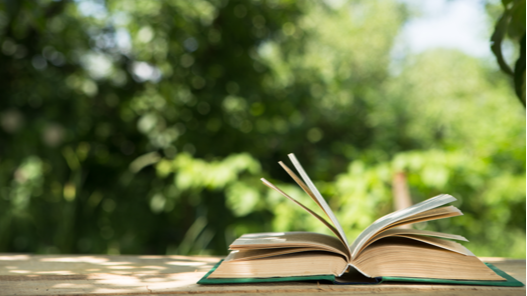 青胜资讯：2027Fall美本申请重磅｜南加州大学ED申请大范围扩容，西海岸名校抢人战升级