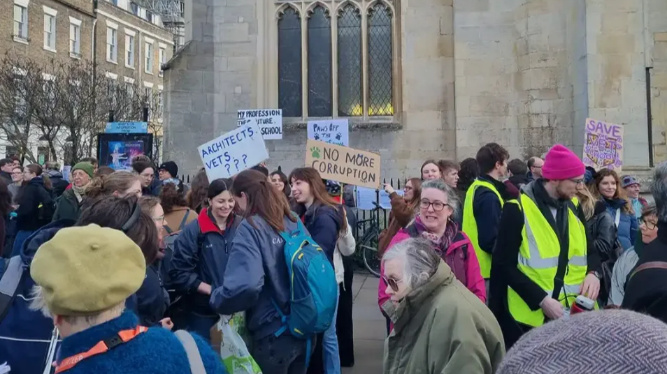 青胜资讯：关停危机解除！剑桥兽医专业的胜利，为何说只是基础学科的暂时喘息？
